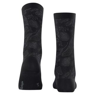 Burlington Socken Forest  