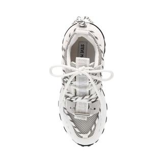 STEVE MADDEN  sneakers tazmania 