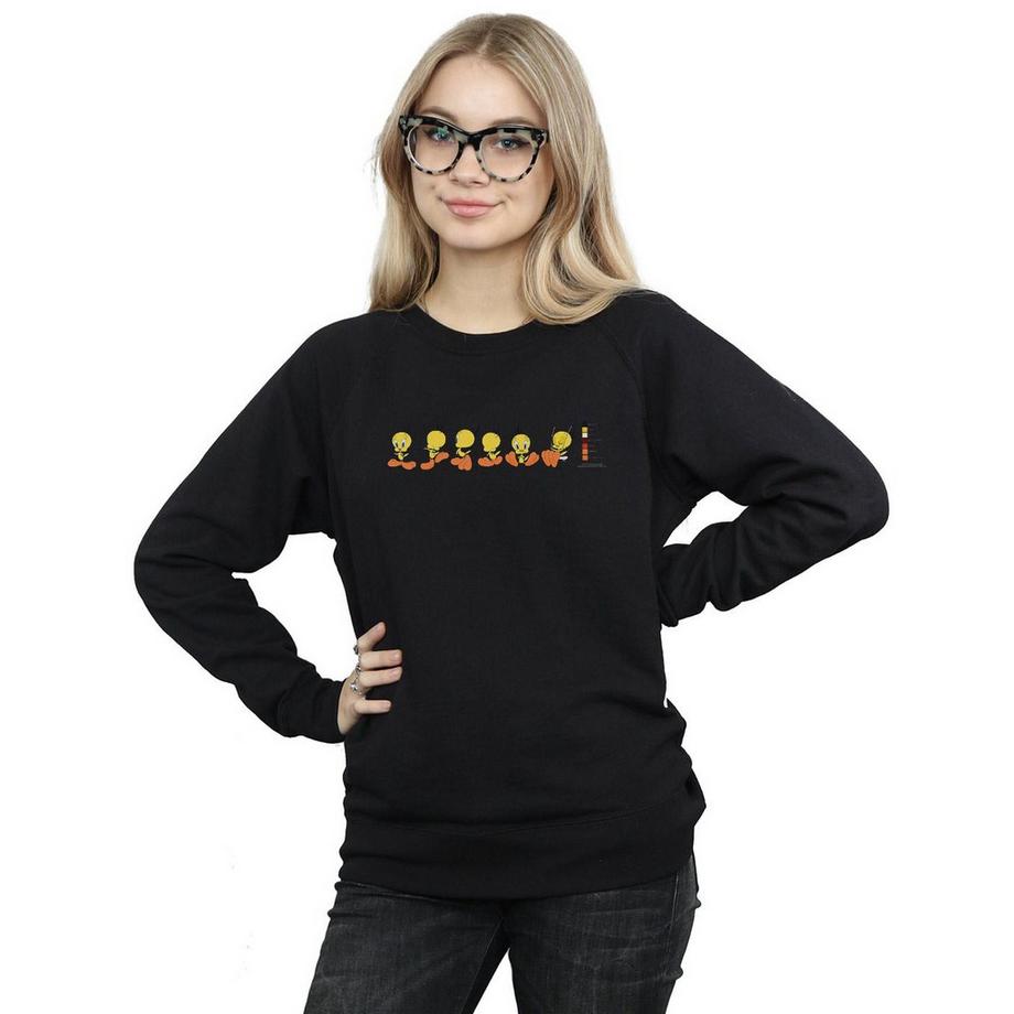 LOONEY TUNES Tweety Pie Colour Code Sweatshirt  