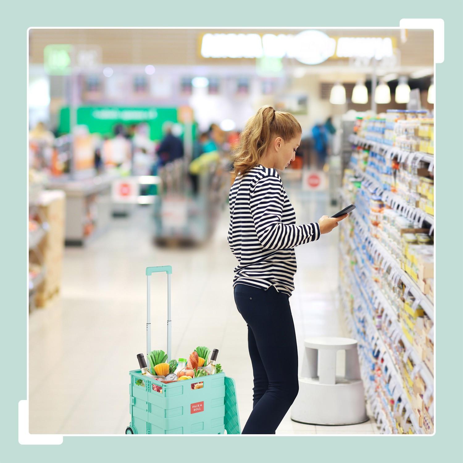 Northix Einkaufswagen mit Abdeckung  