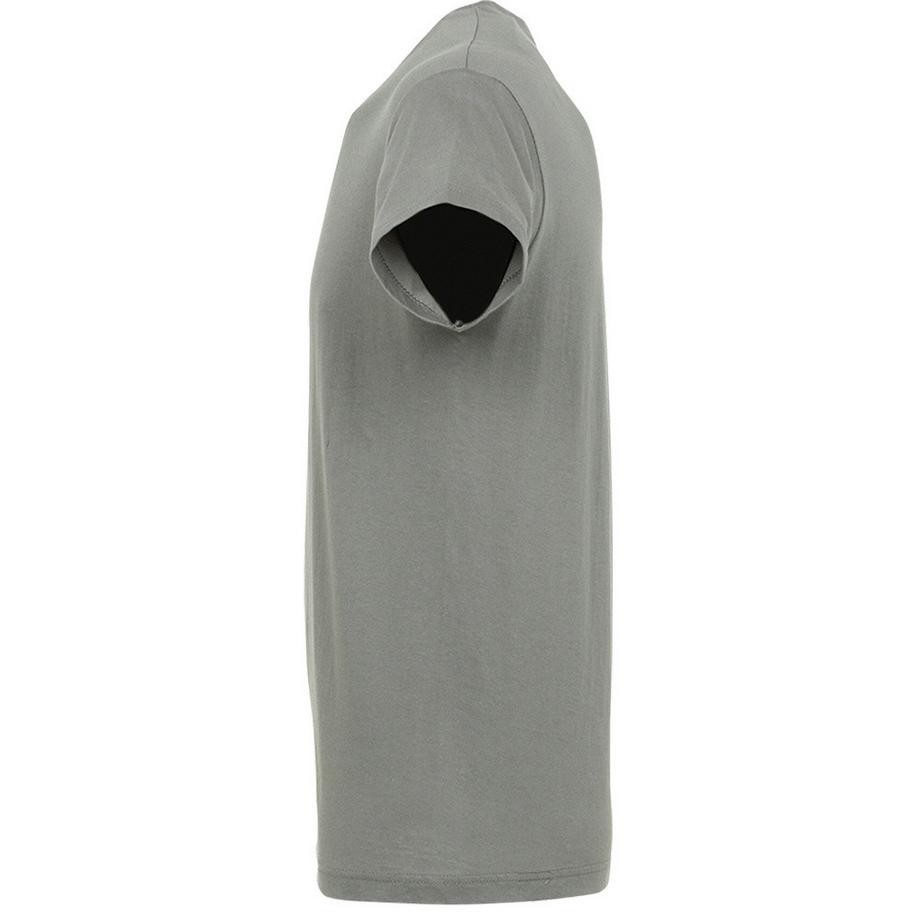 SOLS Regent Kurzarm T-Shirt  