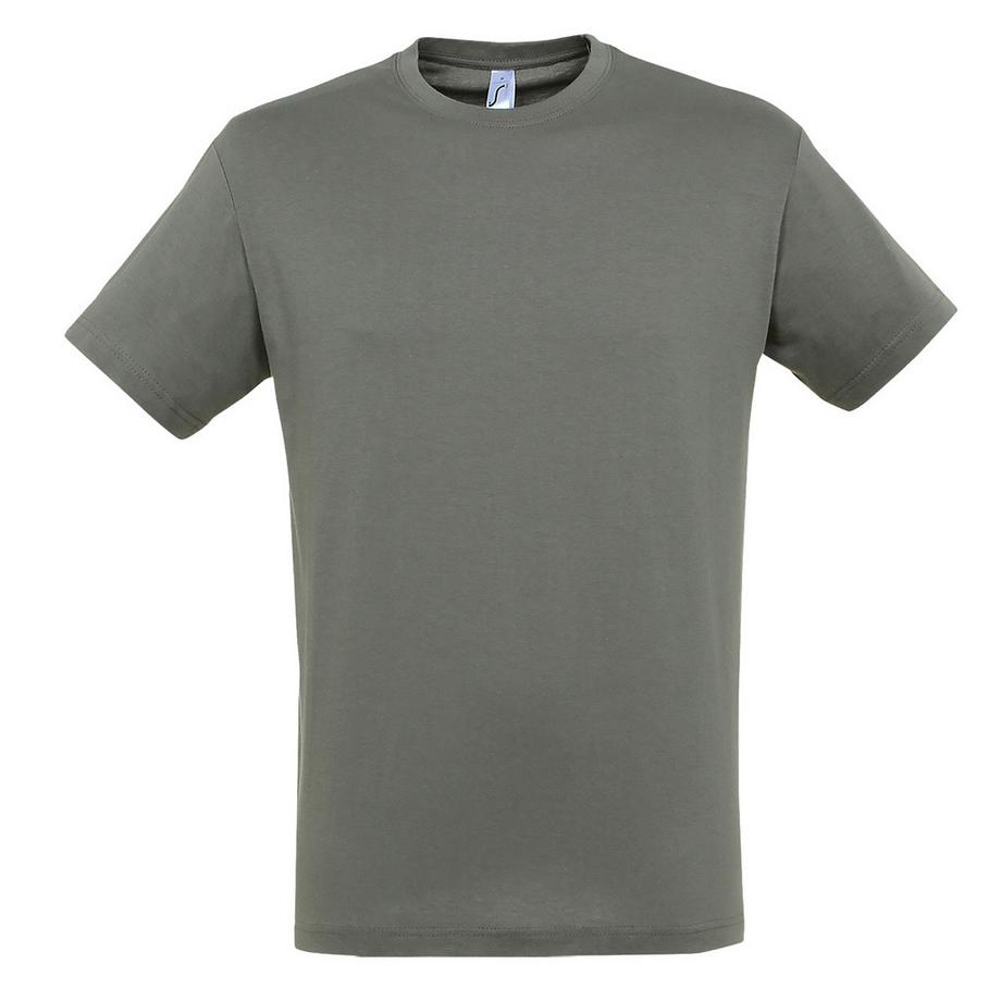 SOLS Regent Kurzarm T-Shirt  