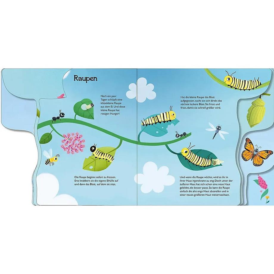 Von der kleinen Raupe zum Schmetterling Savery, Annabel; Deo, Laura (Illustrationen) Gebundene Ausgabe 