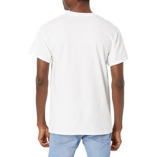 Led Zeppelin T-shirt Tour '75  