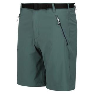 Regatta  Xert III Shorts 