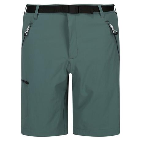 Regatta  Xert III Shorts 