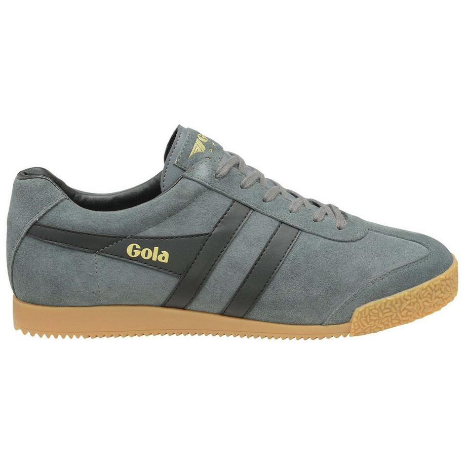 Scarpe da ginnastica in pelle scamosciata Gola Harrier