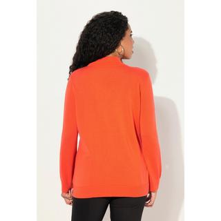 Ulla Popken  Pullover, edle Schurwoll-Seidenmischung, Stehkragen, Langarm 