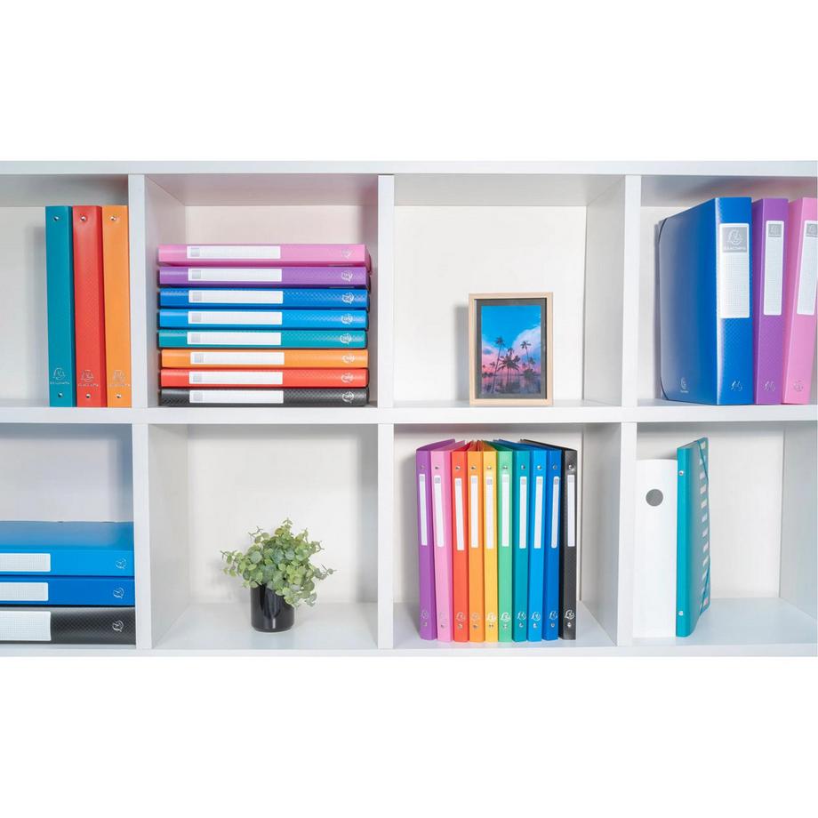 Exacompta Classeur 4 anneaux 20mm polypropylène OPAK - A4 - x 20  