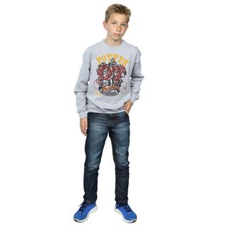 Harry Potter  Gryffindor Seeker Sweatshirt 