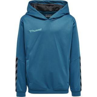 Hummel  hoodie kinder hmlauthentic poly 