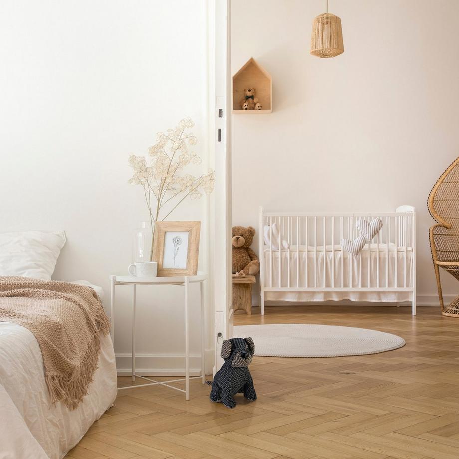 B2X  Chien qui bloque la porte 