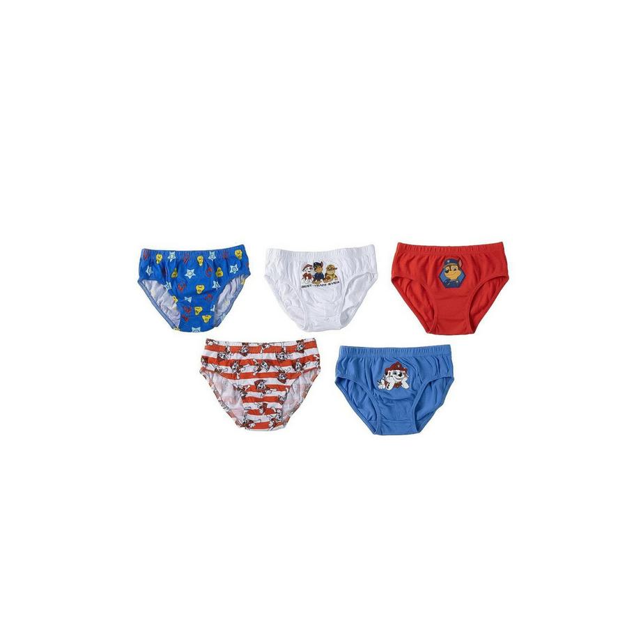 Disney  5er Set Slipss   Paw Patrol Motiven und Tasche 