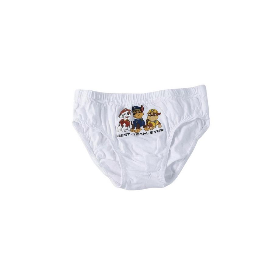 Disney  5er Set Slipss   Paw Patrol Motiven und Tasche 