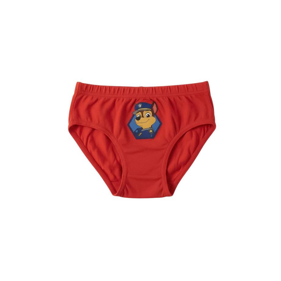 Disney  5er Set Slipss   Paw Patrol Motiven und Tasche 