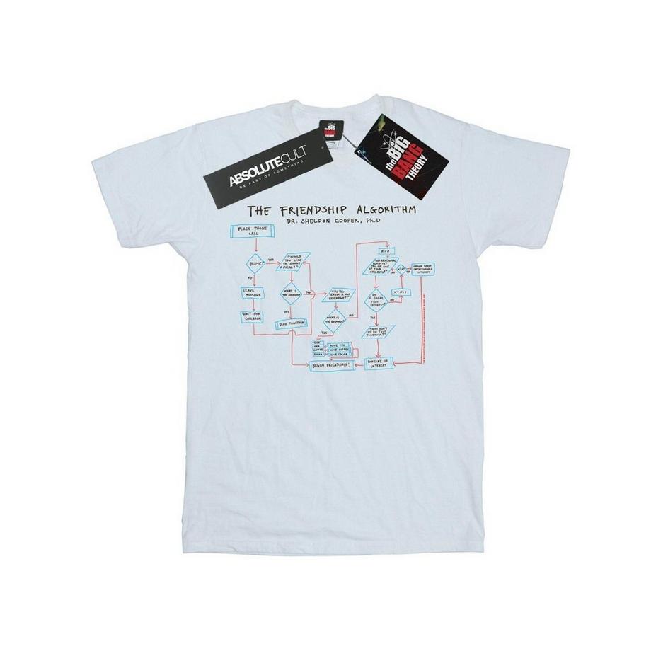 Tshirt FRIENDSHIP ALGORITHM