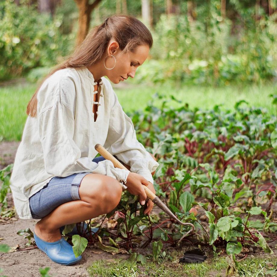 B2X Maulwurfsfalle Lebendfalle 2er Set  