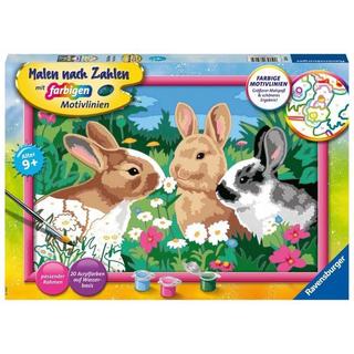 Ravensburger  Ravensburger Malen nach Zahlen 28517 - Putzige Häschen – Kinder ab 9 Jahren 