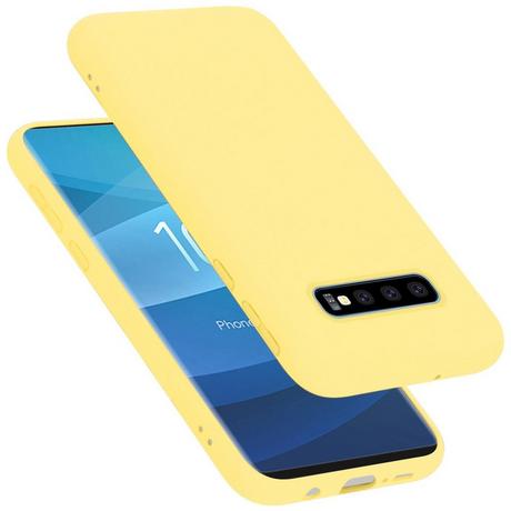 Cadorabo  Housse compatible avec Samsung Galaxy S10 PLUS - Coque de protection en silicone TPU flexible 