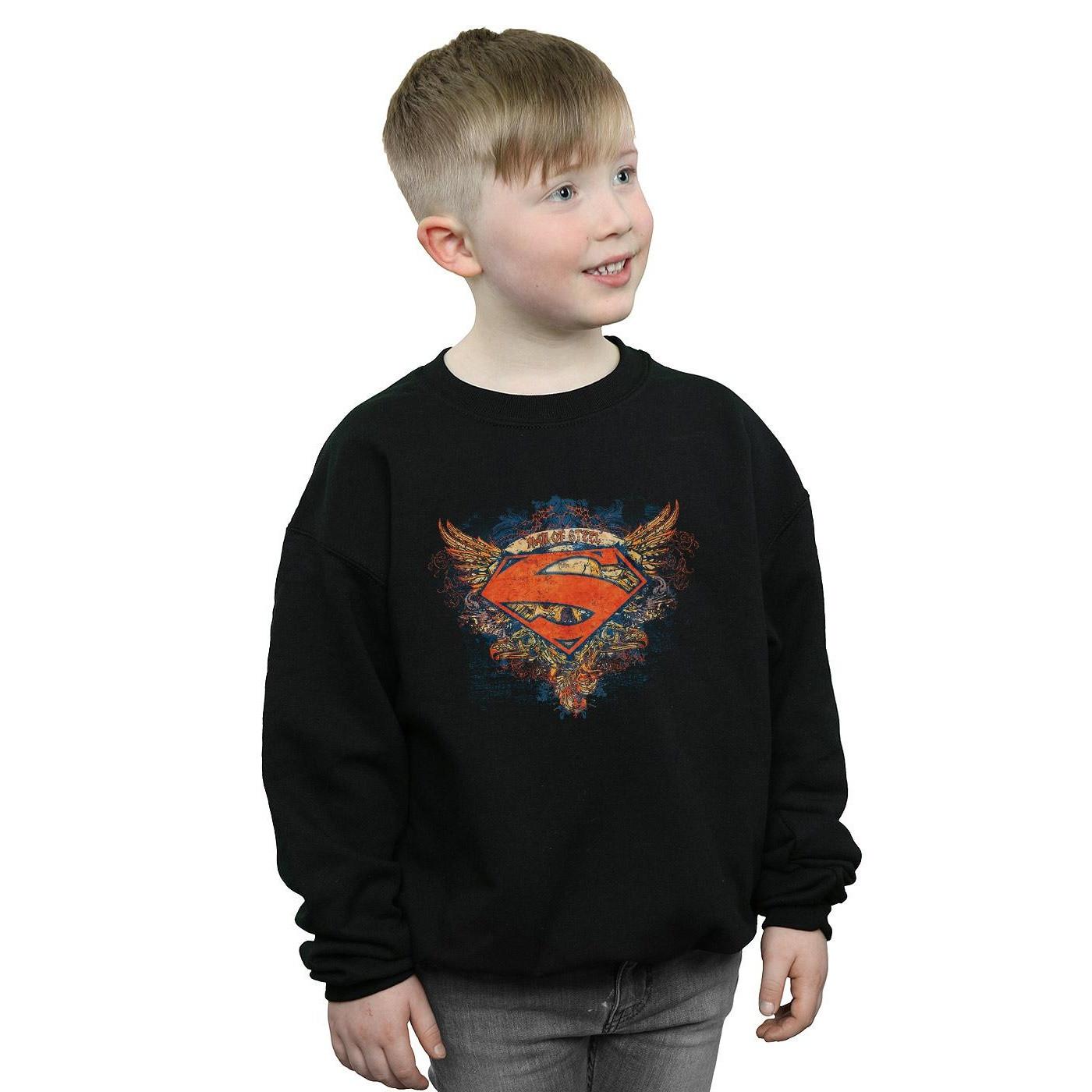 DC COMICS  Sweatshirt 