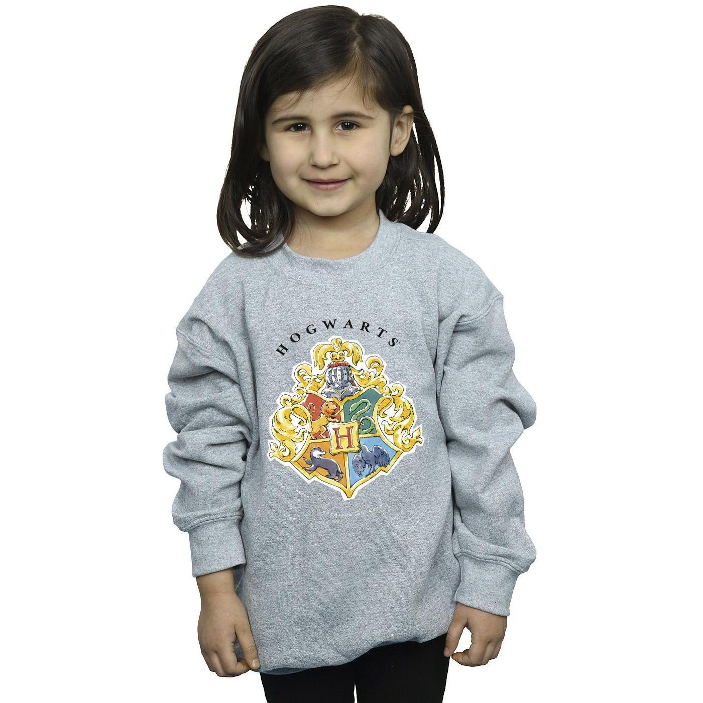 Harry Potter  Hogwarts Sweatshirt 