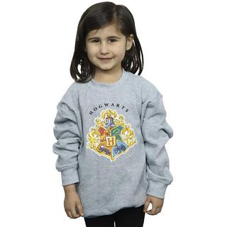 Harry Potter  Hogwarts Sweatshirt 