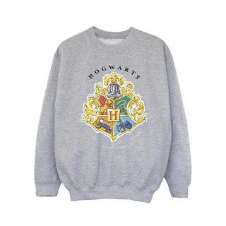 Harry Potter  Hogwarts Sweatshirt 