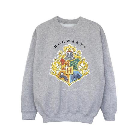 Harry Potter  Hogwarts Sweatshirt 