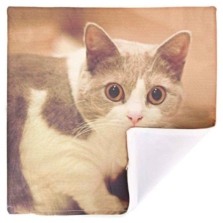 Avizar 2 Stk. Kissenbezüge Katze mit Napf  