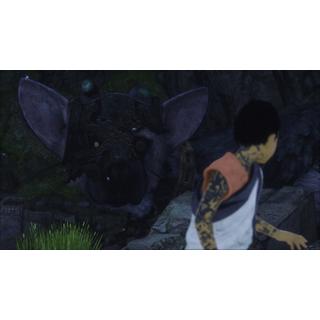 SONY  The Last Guardian 