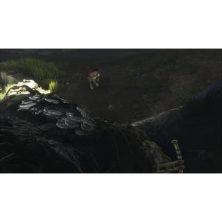 SONY  The Last Guardian 