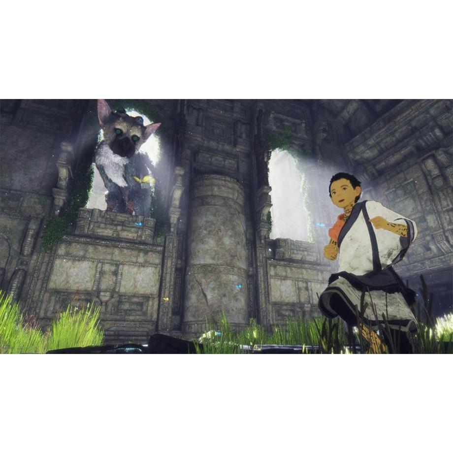 SONY  The Last Guardian 