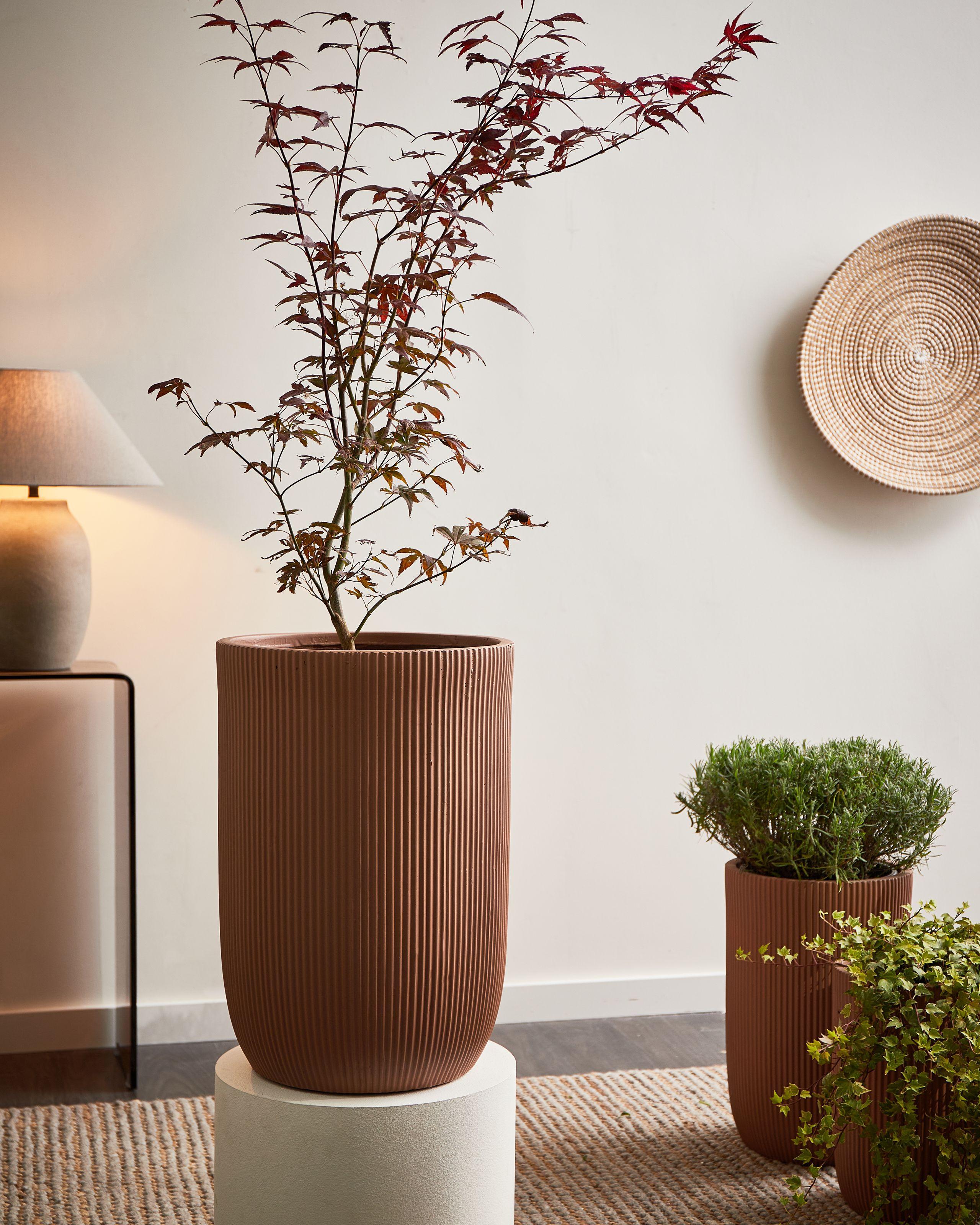 Beliani Cache-pot en Fibre d'argile Industriel EANTIO  