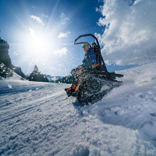 Geschenkidee  Excursion en Ziesel sur la neige à Hoch-Ybrig (pour 1 personne) 