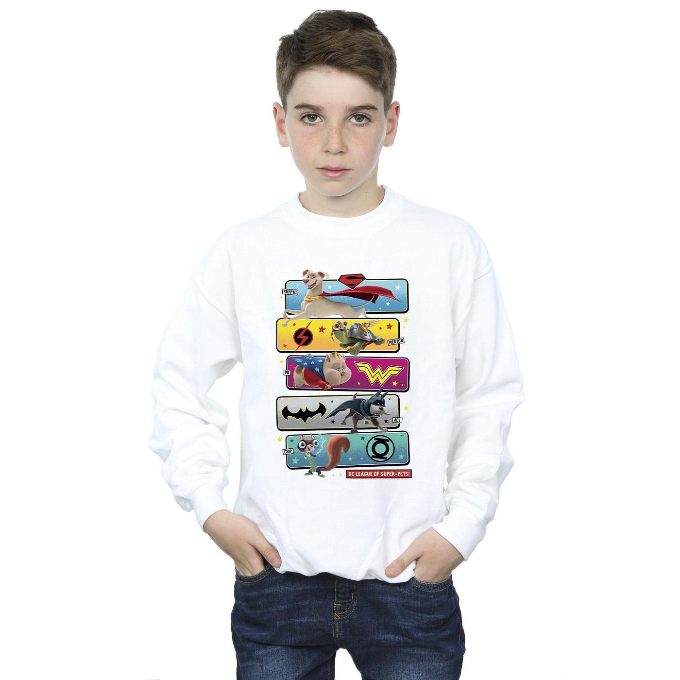 DC COMICS  DC League Of SuperPets Sweatshirt 