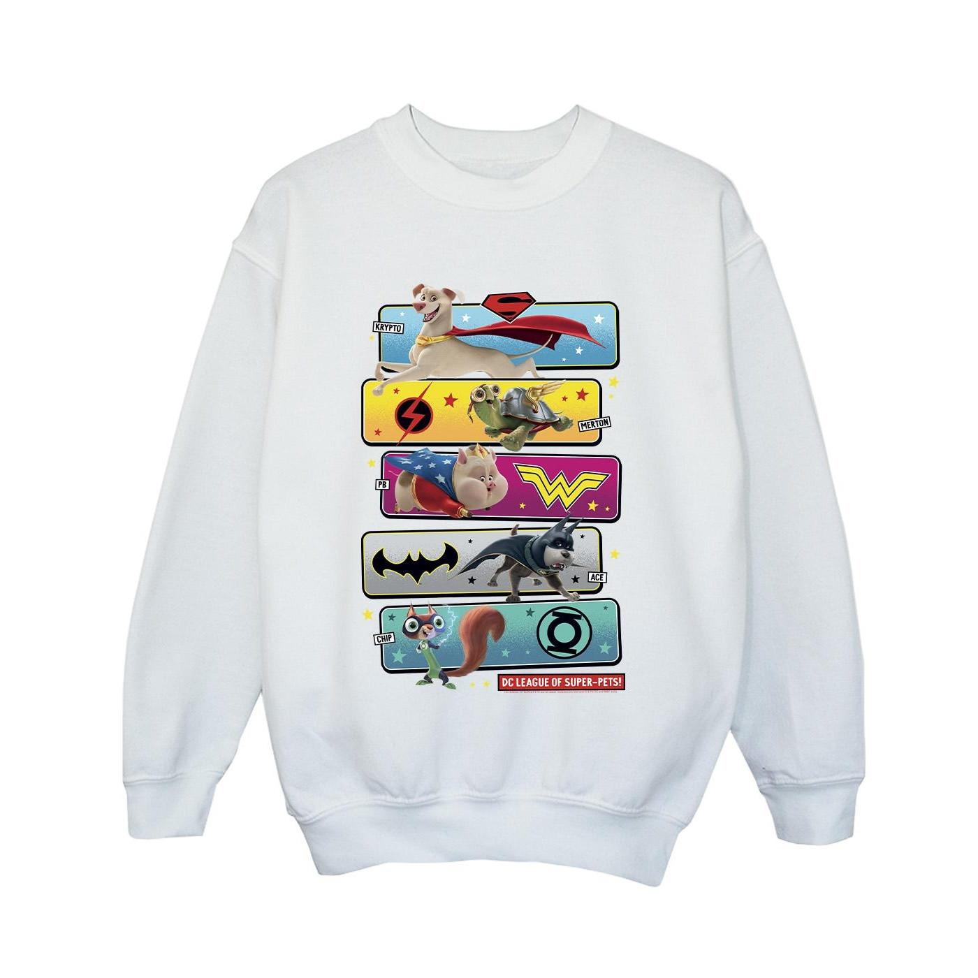 DC COMICS  DC League Of SuperPets Sweatshirt 