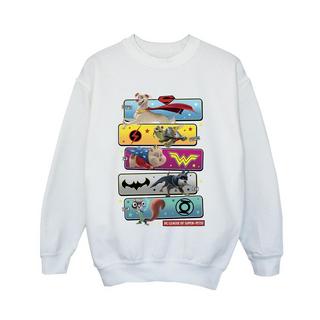 DC COMICS  DC League Of SuperPets Sweatshirt 