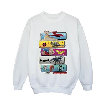 DC League Of SuperPets Sweatshirt