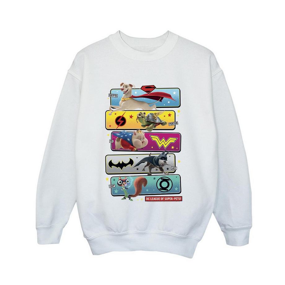DC COMICS  DC League Of SuperPets Sweatshirt 