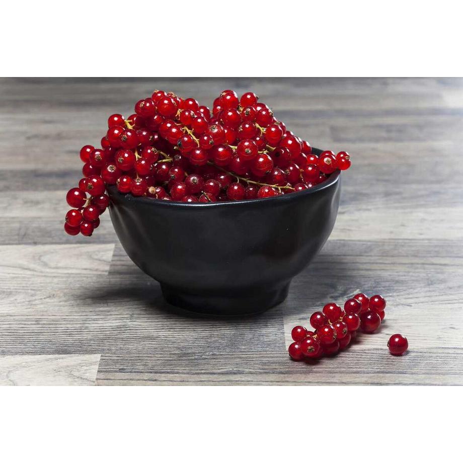 KARE Design Bol Organic Black rond 15  