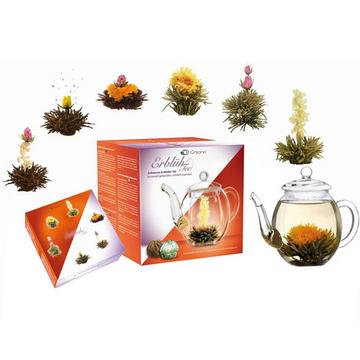 Coffret cadeau fleurs de thé Creano, thé noir/thé blanc, avec théière en verre