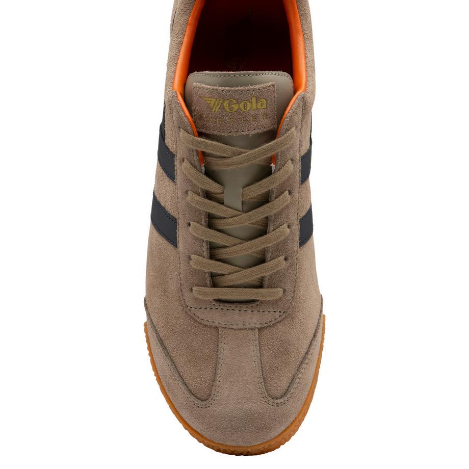 gola Harrier Suede Sneaker  