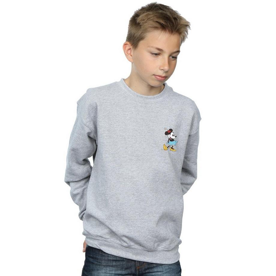 Disney  Sweatshirt 
