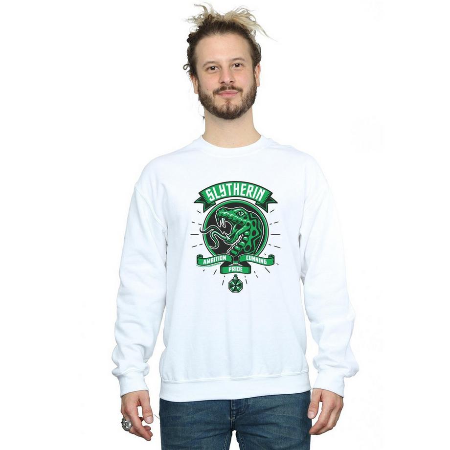 Harry Potter Slytherin Sweatshirt  