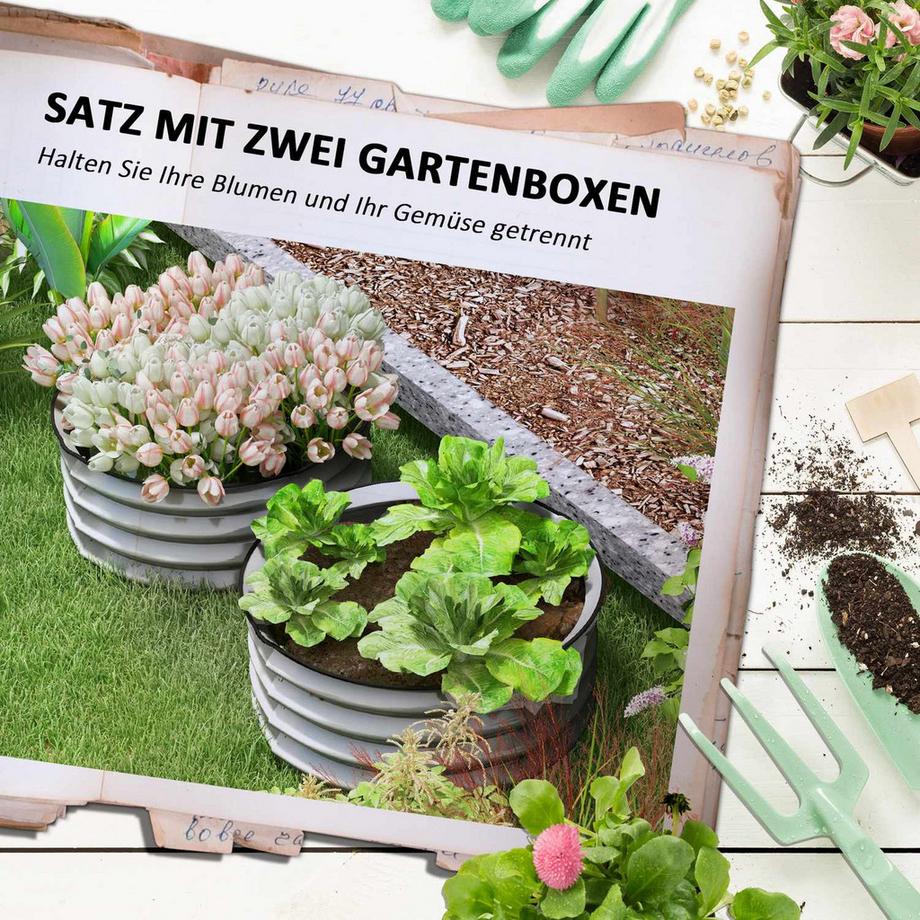 Northio Lot de 2 jardinières surélevées en métal, parterre d'herbes aromatiques, avec fond ouvert, parterre de légumes pour jardin, argent, 60 x 60 x 30 cm  