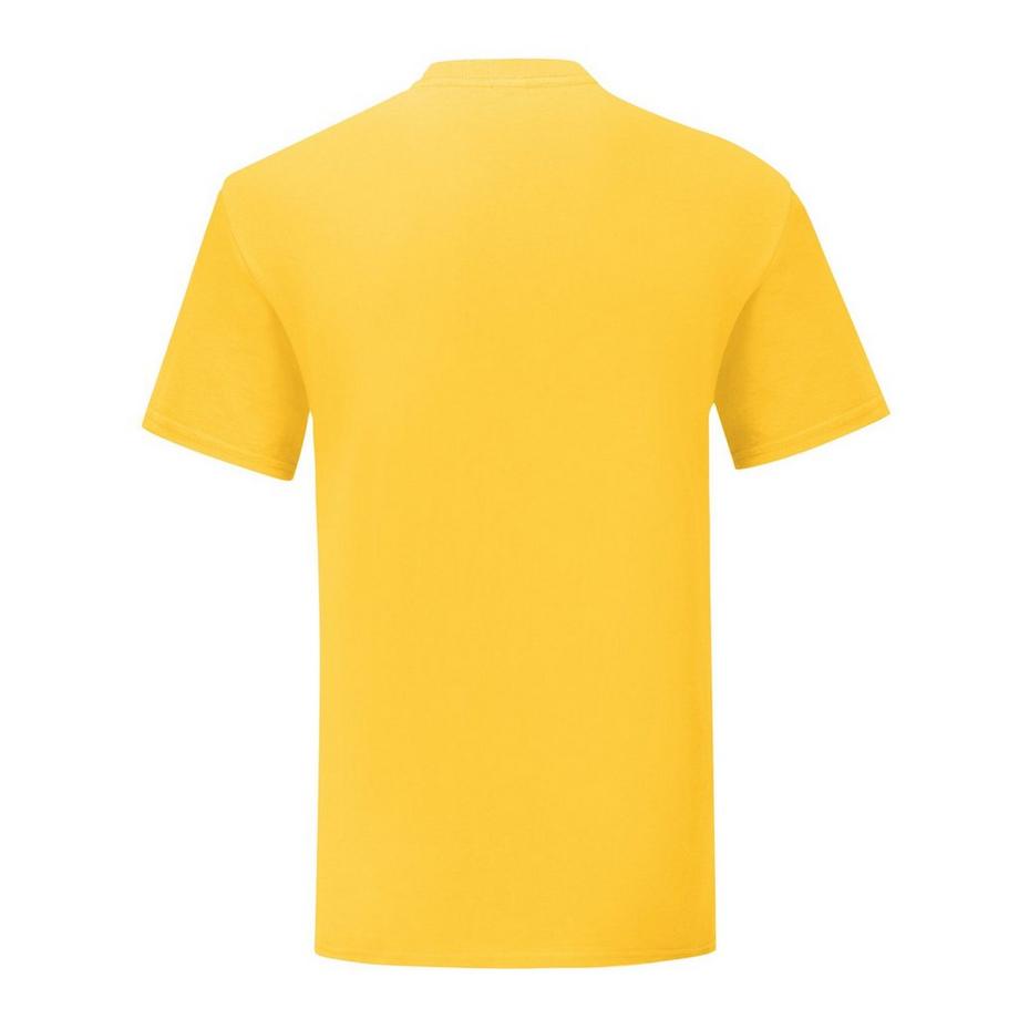 Fruit of the Loom Iconic Premium T-Shirt  