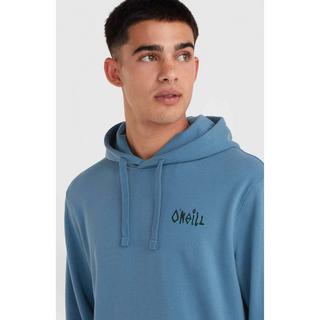 O'NEILL  hoodie o'nei framed 