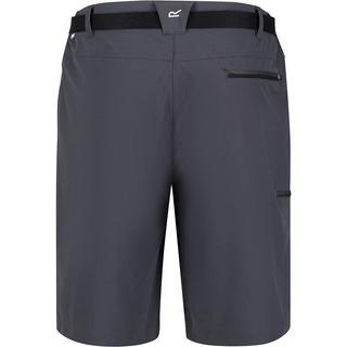 Regatta  Xert III Shorts 