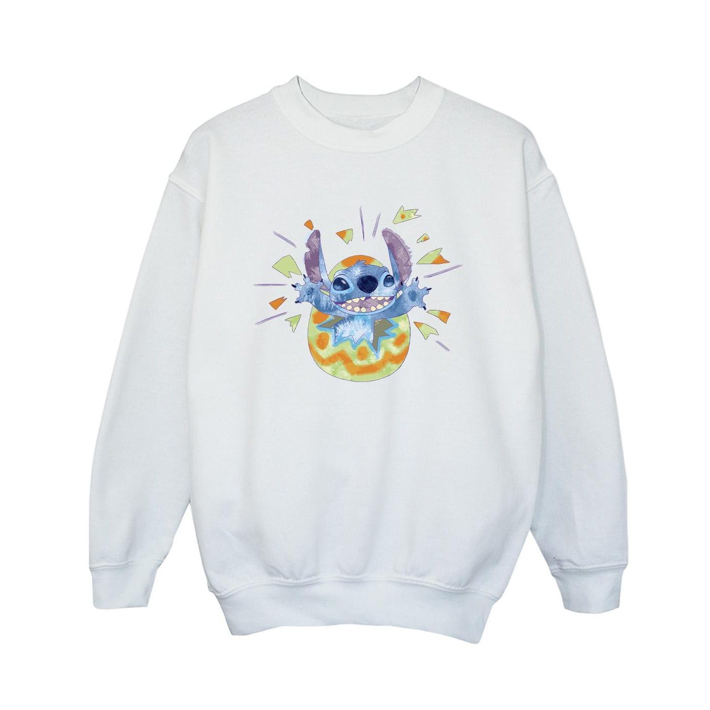 Disney  Sweatshirt 