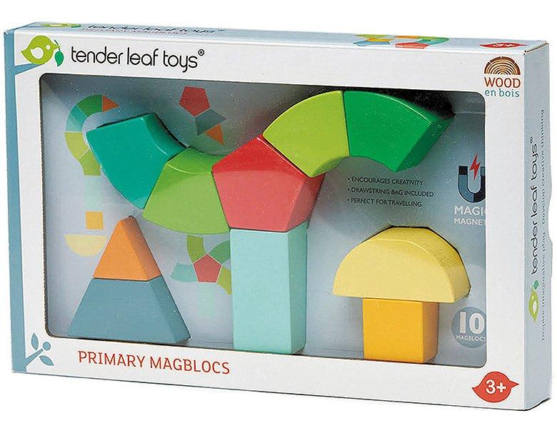 Tender Leaf Toys  Magblocs Farben (10Teile) 